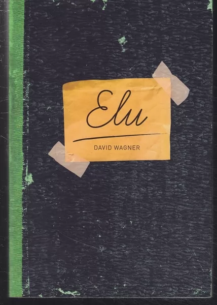 David Wagner Elu